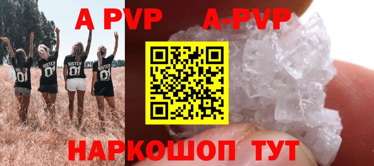 Аргун  Альфа ПВП СК КРИС  А ПВП крисы CK  Вход с VPN 