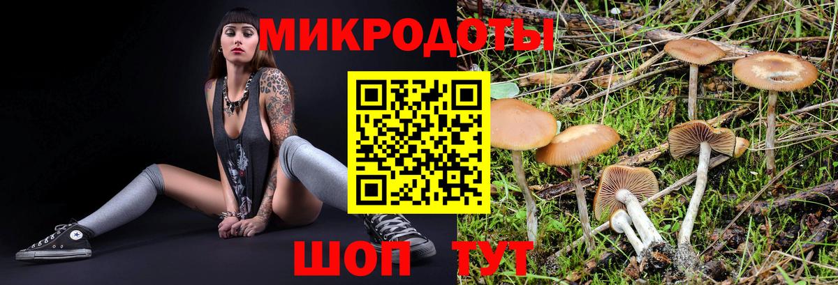 Псилоцибиновые грибы ЛСД  Вход с VPN  дарнет шоп  Аргун 