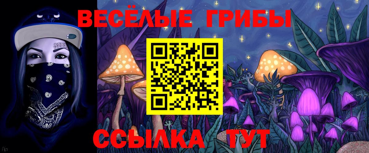Галлюциногенные грибы мицелий Аргун